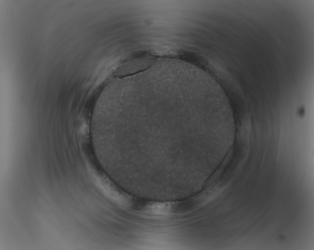 X0000116120084200912211703