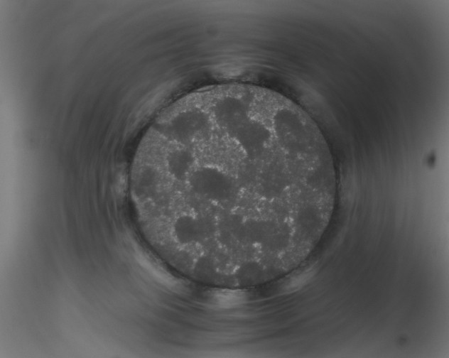 X0000116120085200912211703
