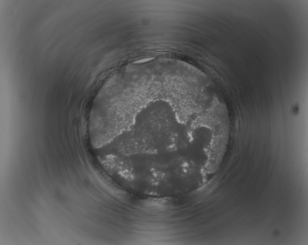 X0000116120086200912211703