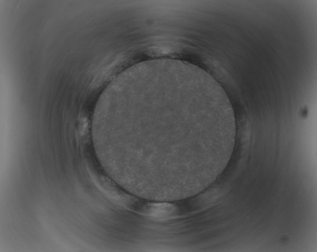 X0000116120087200912211703