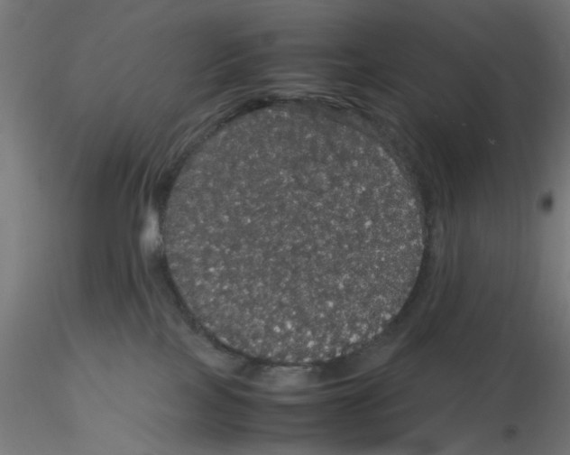 X0000116120089200912211703
