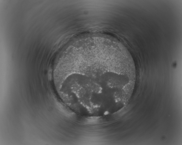 X0000116120090200912211703