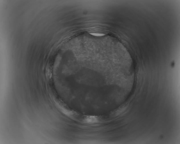 X0000116120091200912211703