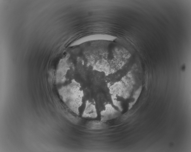 X0000116120093200912211703