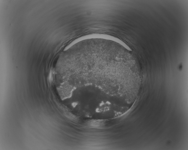 X0000116120094200912211703