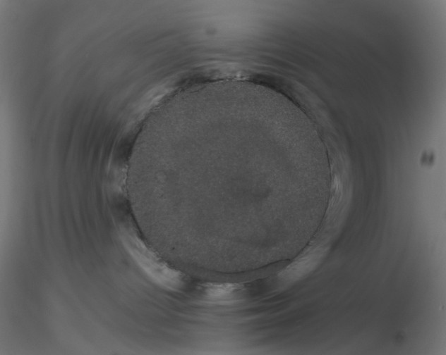 X0000116120096200912211703