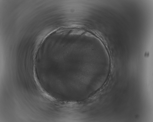 X0000116120097200912211702