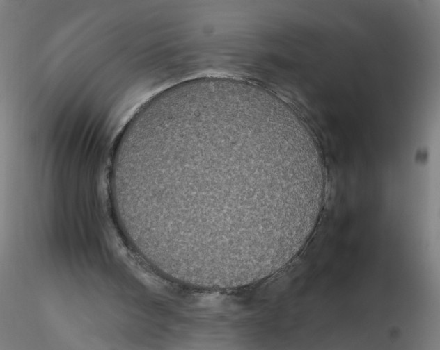 X0000116120098200912211702