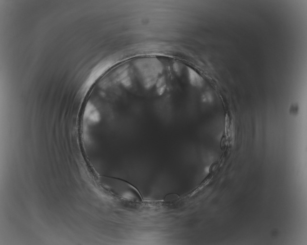 X0000116120099200912211702