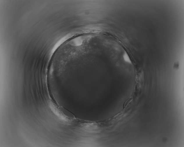X0000116120100200912211702