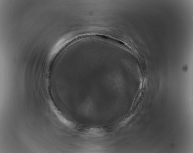 X0000116120101200912211702