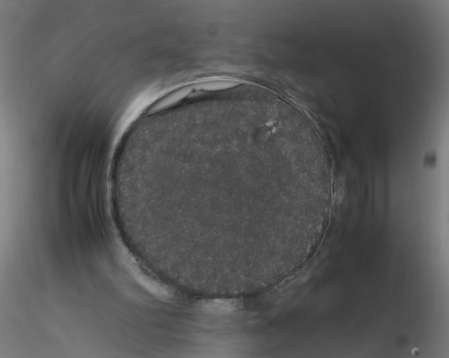 X0000116120102200912211702