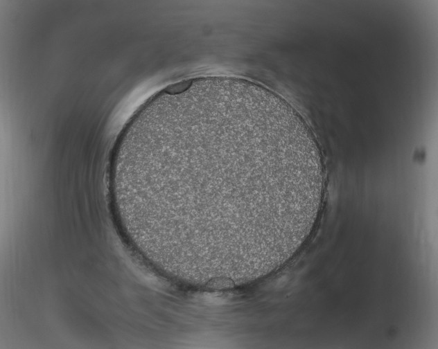 X0000116120103200912211702