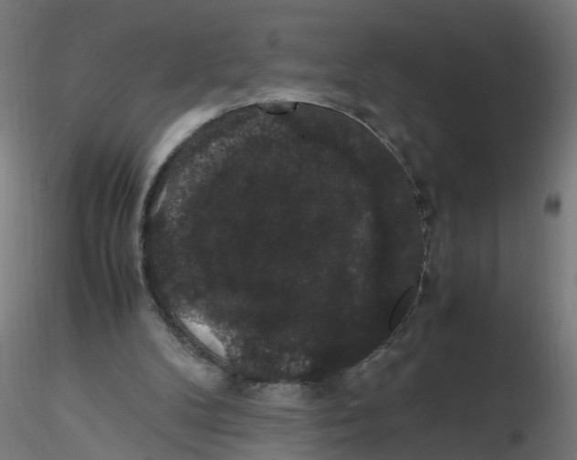 X0000116120104200912211702