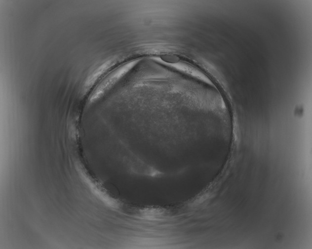 X0000116120105200912211702