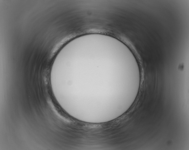 X0000116120106200912211702