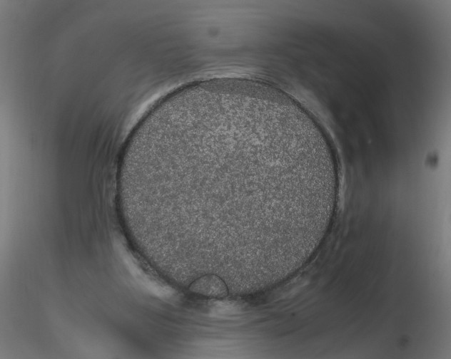 X0000116120107200912211702