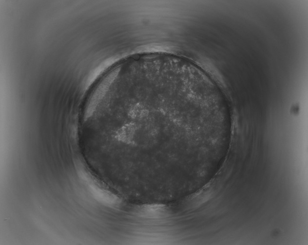 X0000116120108200912211702