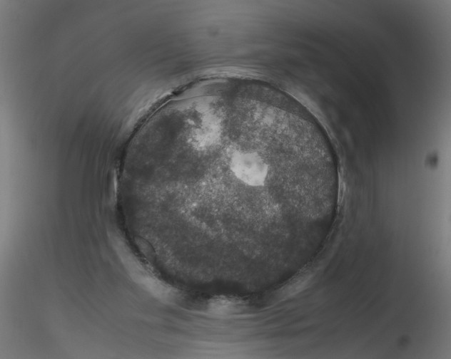 X0000116120109200912211702