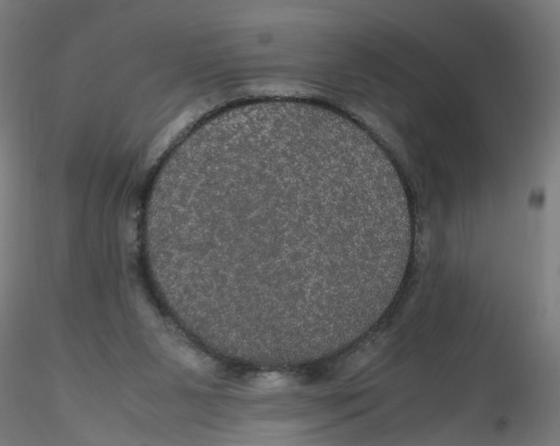 X0000116120111200912211702