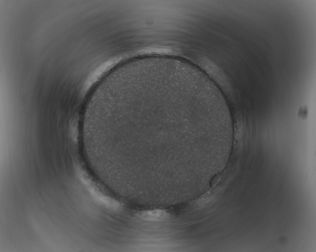 X0000116120112200912211702