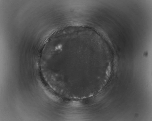 X0000116120114200912211702