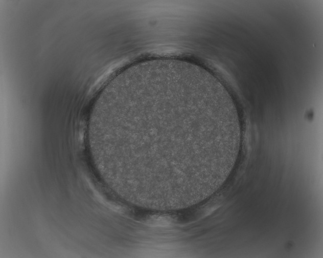 X0000116120115200912211702