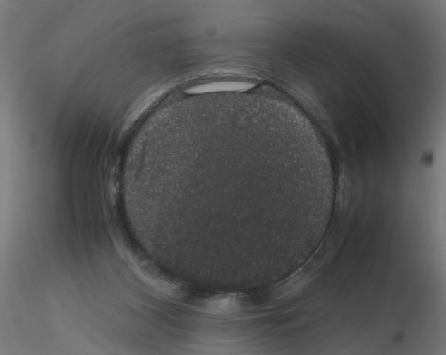 X0000116120116200912211702