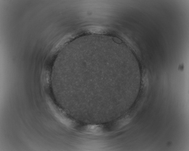 X0000116120117200912211702