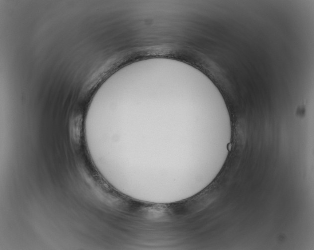 X0000116120118200912211702