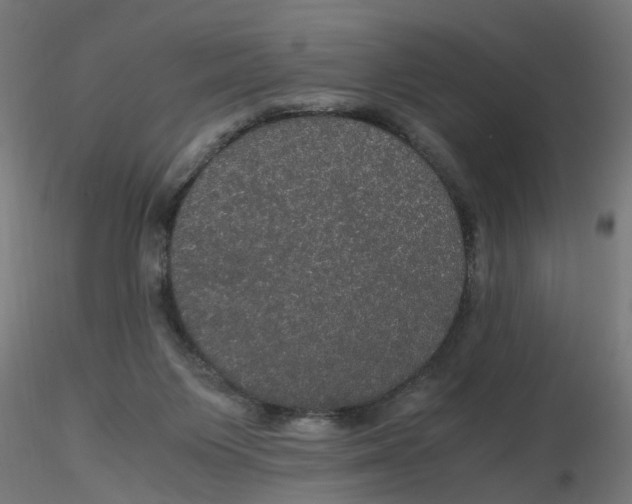 X0000116120119200912211702