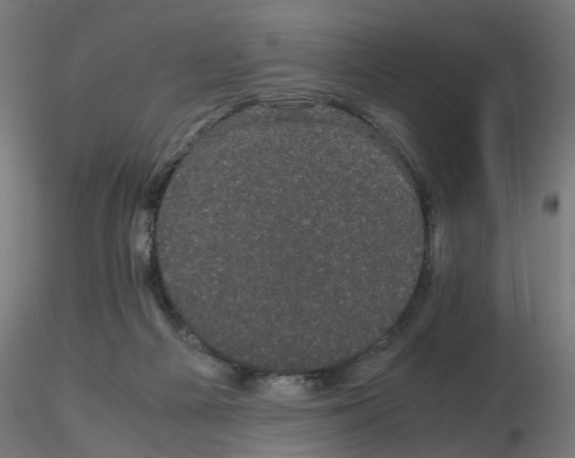 X0000116120121200912211702
