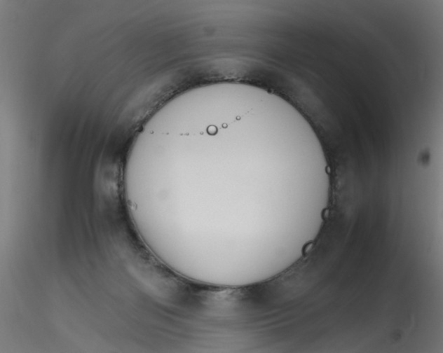 X0000116120122200912211702