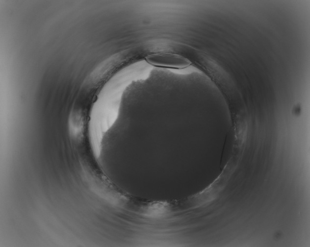 X0000116120124200912211702