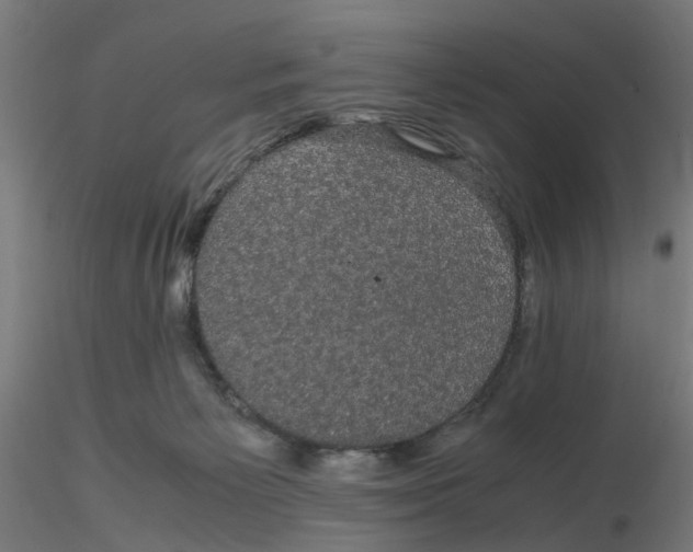X0000116120125200912211702