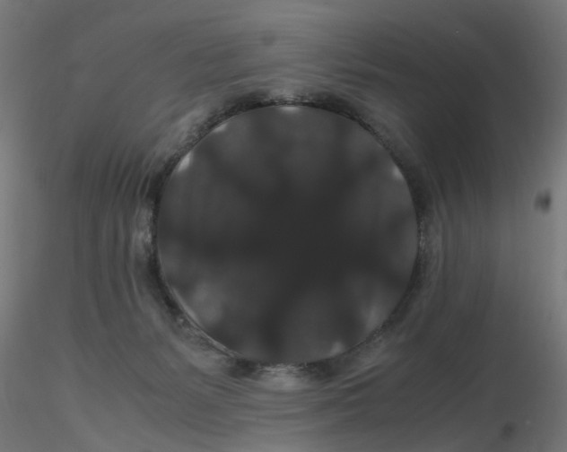 X0000116120127200912211702