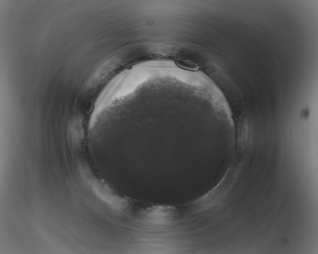 X0000116120128200912211702
