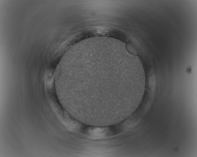 X0000116120129200912211702