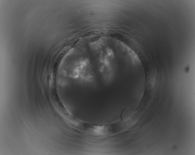 X0000116120130200912211702