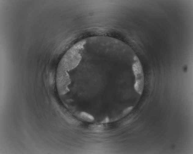X0000116120131200912211702