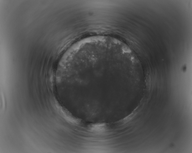 X0000116120132200912211702