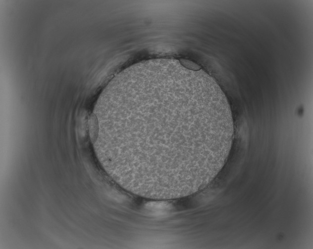 X0000116120133200912211702