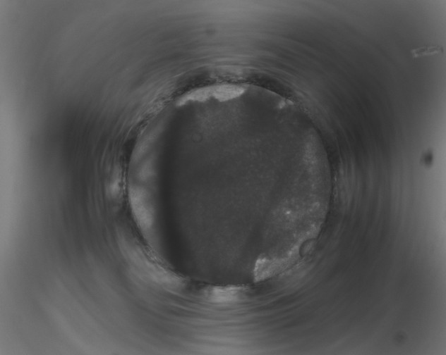 X0000116120134200912211702