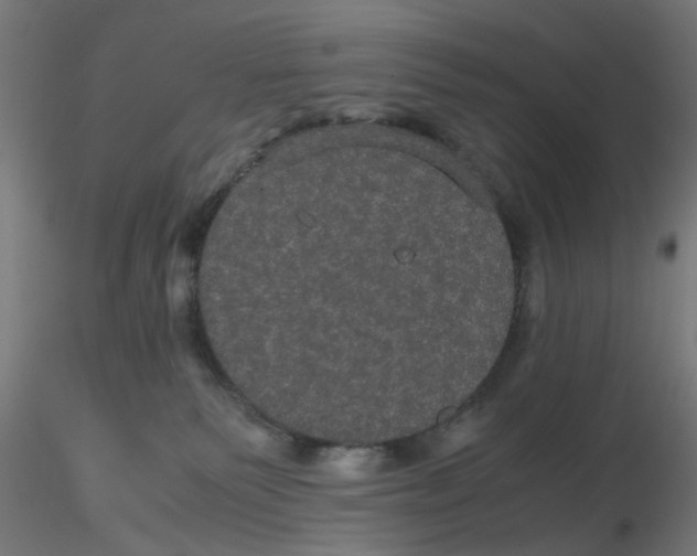 X0000116120135200912211702