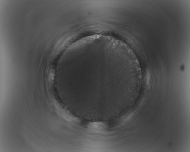 X0000116120137200912211702