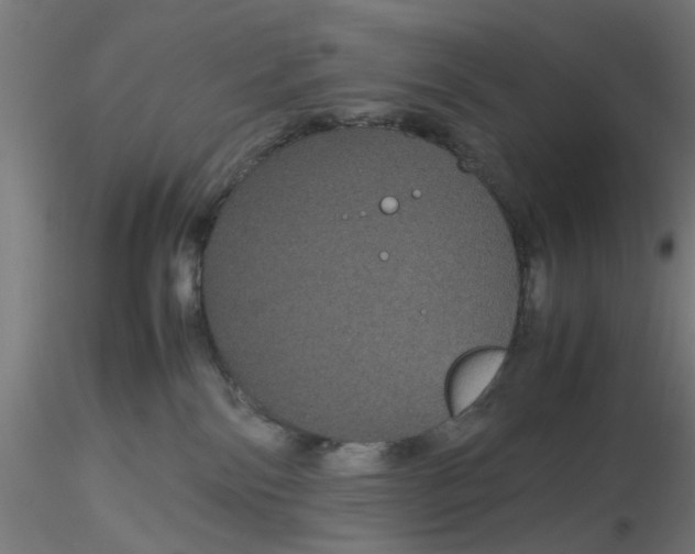 X0000116120138200912211702