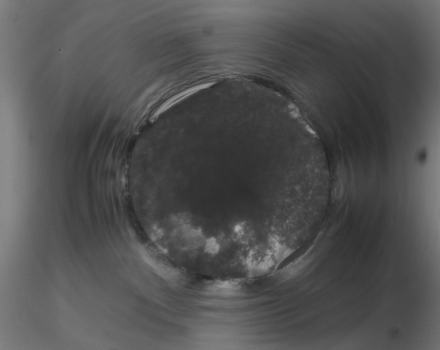X0000116120140200912211702