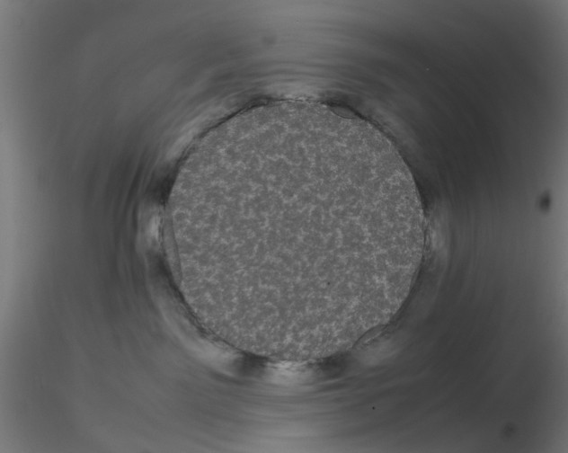 X0000116120141200912211702