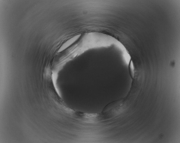 X0000116120143200912211702