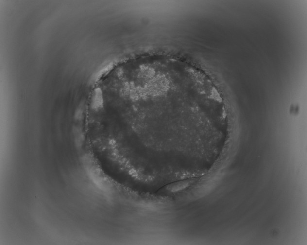 X0000116120144200912211702